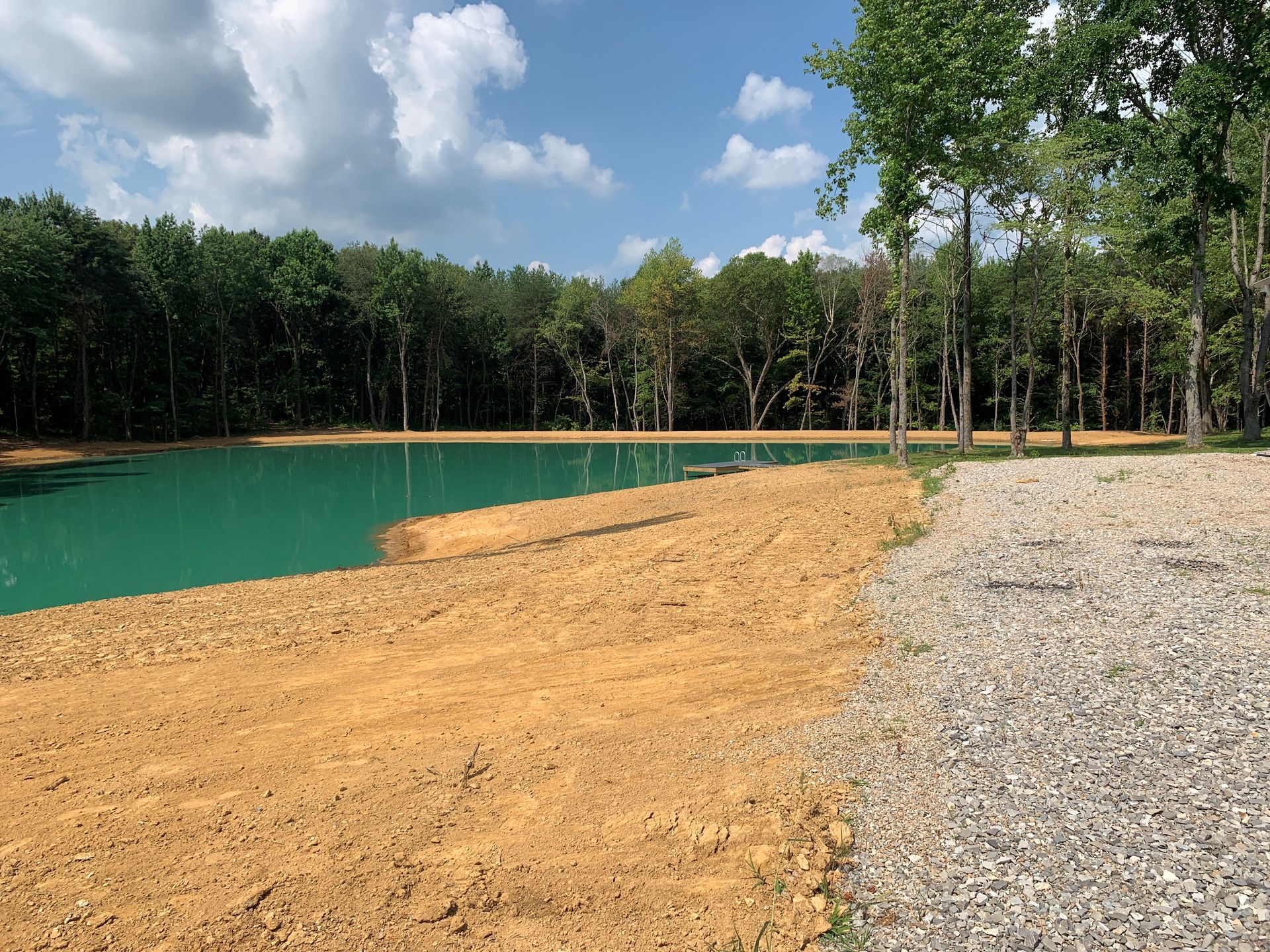 There is a large pond in the middle of the woods.
