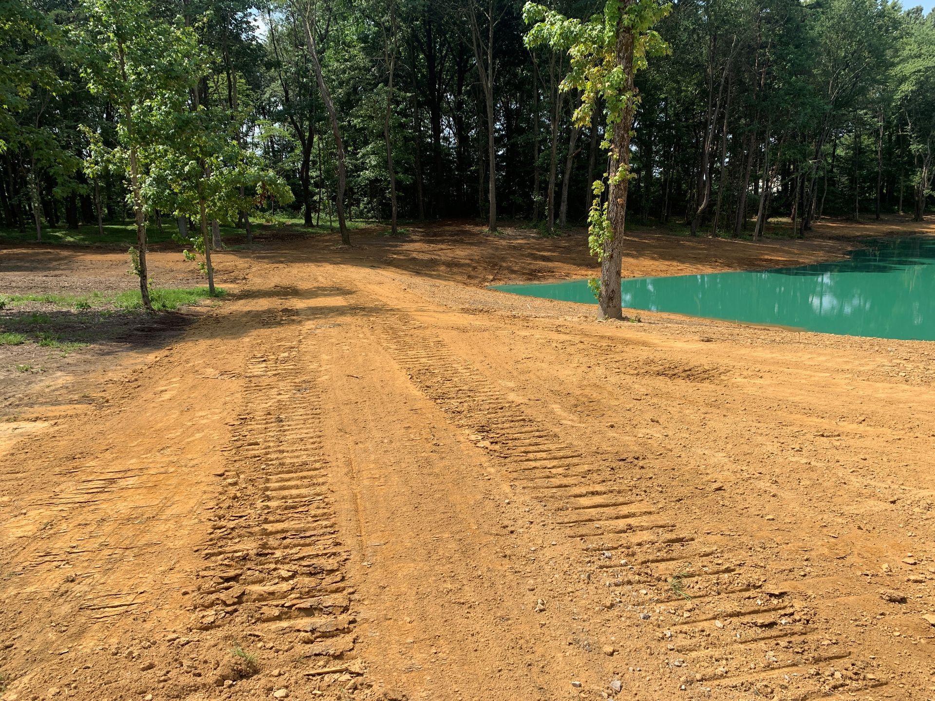 A dirt road leading to a pond in the middle of a forest.