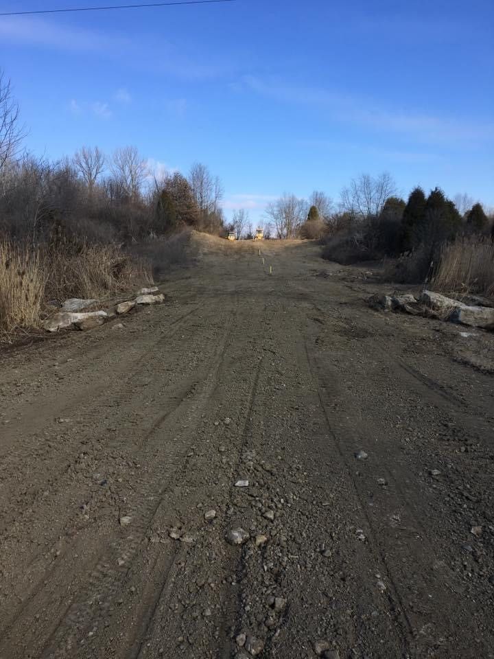 A dirt road with trees on both sides and a blue sky in the background.