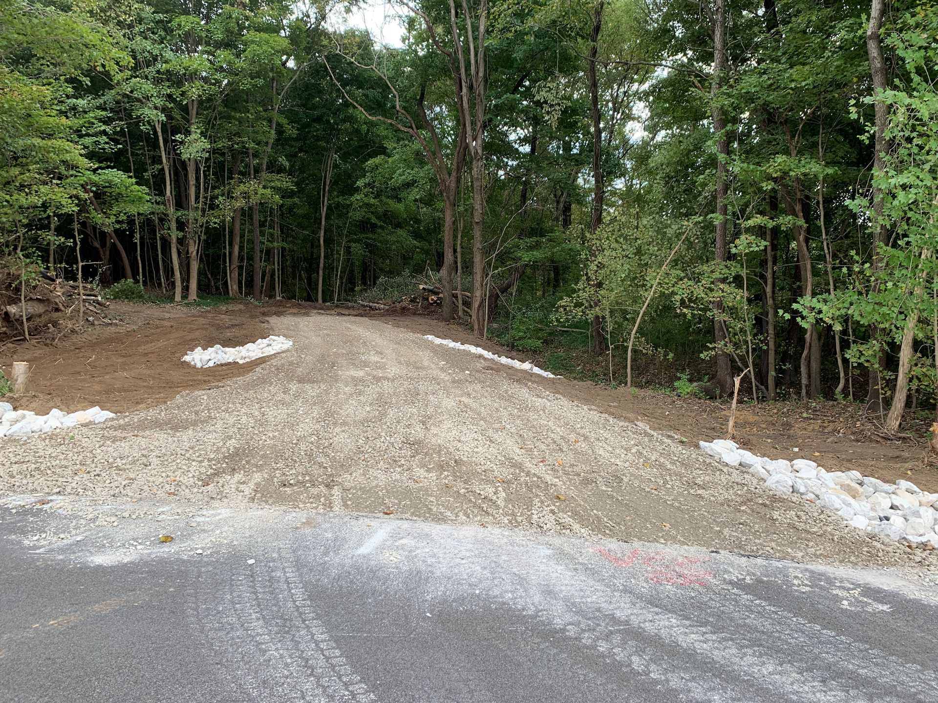 A dirt road going through a forest with trees on both sides.
