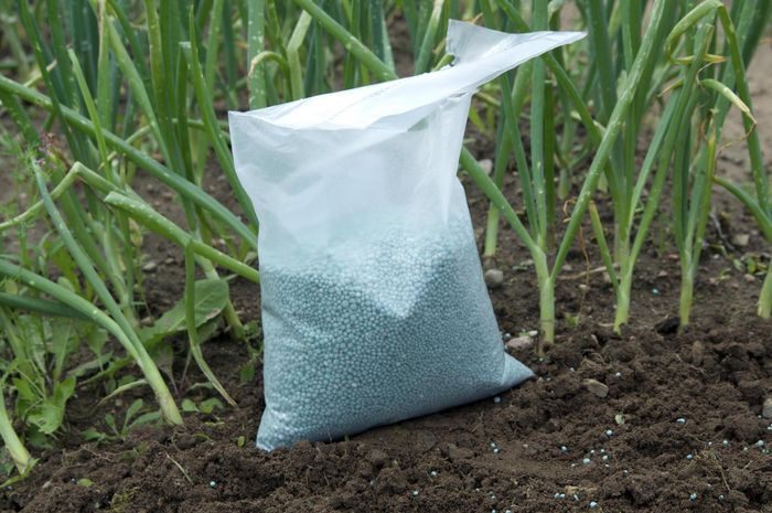 fertilizer in the soil