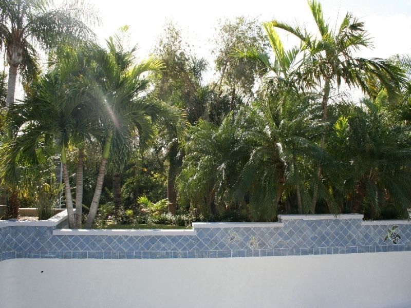 Swimming Pool #14 — Palm Bay, FL — Pool Doctor Of Brevard Inc