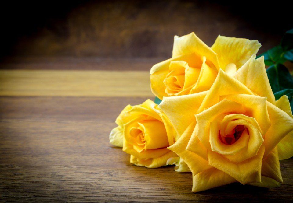 omaggio floreale con rose gialle