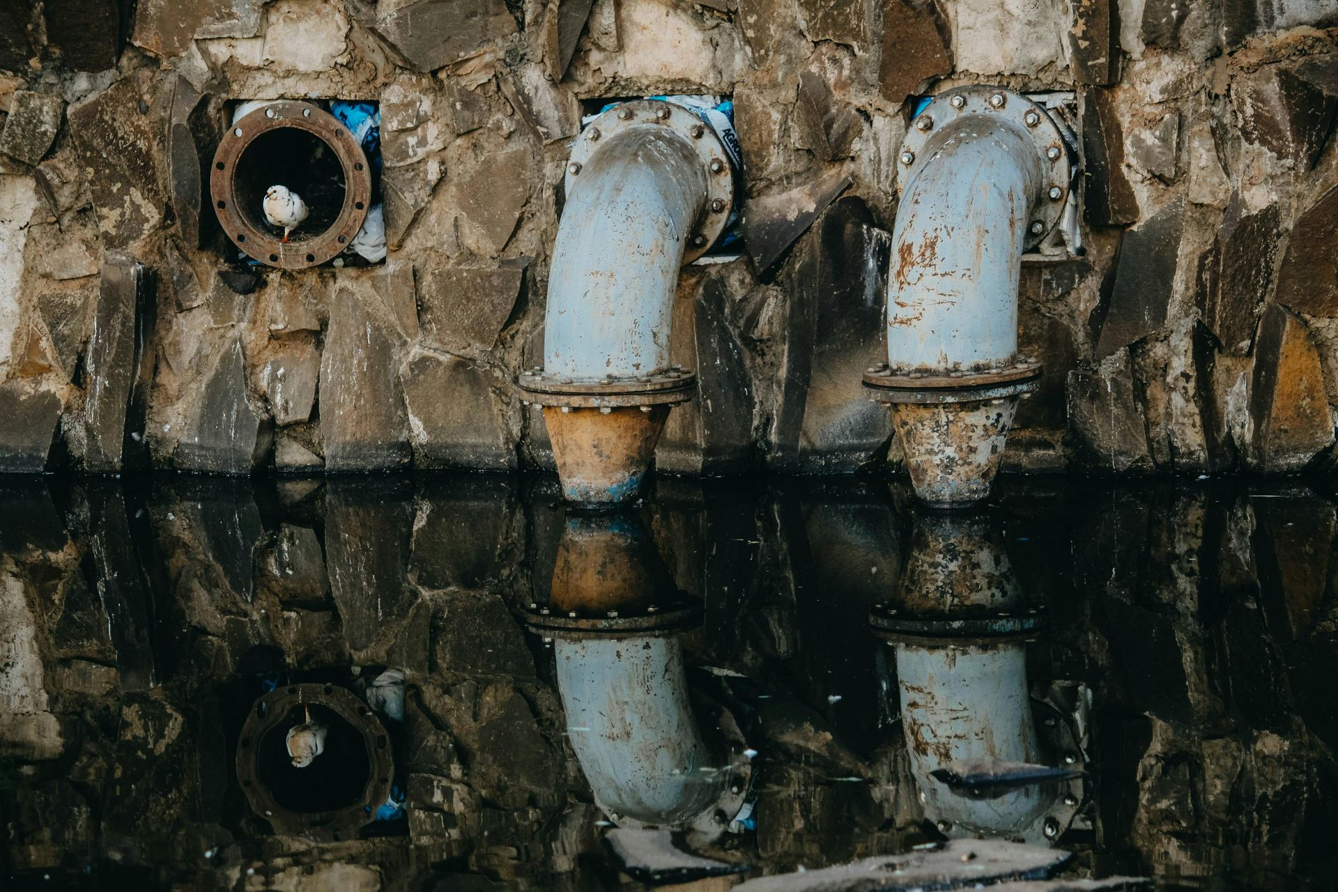 Two weathered blue pipes and a circular opening are set in a stone wall, reflected in dark water.