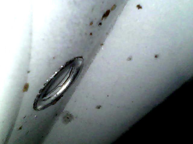 Close-up of a white surface with a metal ring and small brown specks.