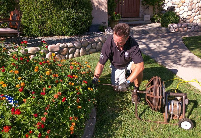 Gardener kneeling in a flower bed, watering orange flowers beside a stone-lined garden path.