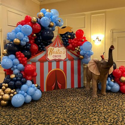 Party Lane -NWI Party balloons, garlands, event decor & services