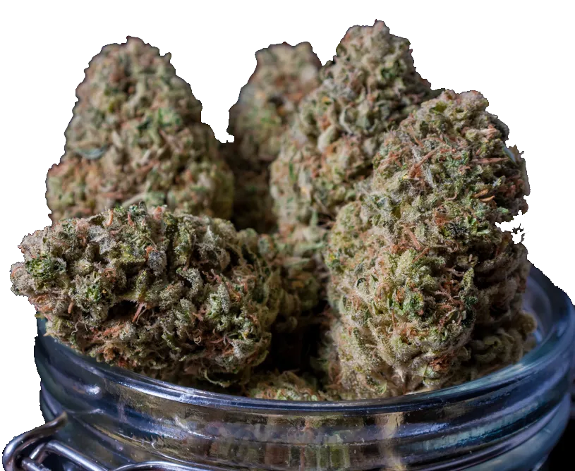 cannabis gummies and flowers