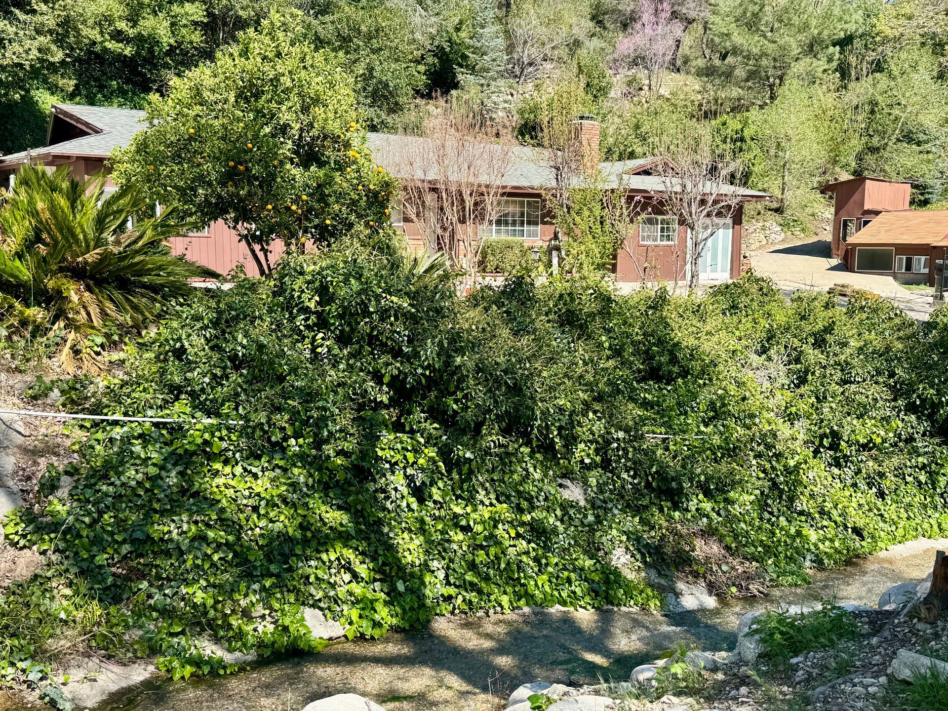 A brown, single-story house nestled on a hillside among lush green trees and rocky terrain.