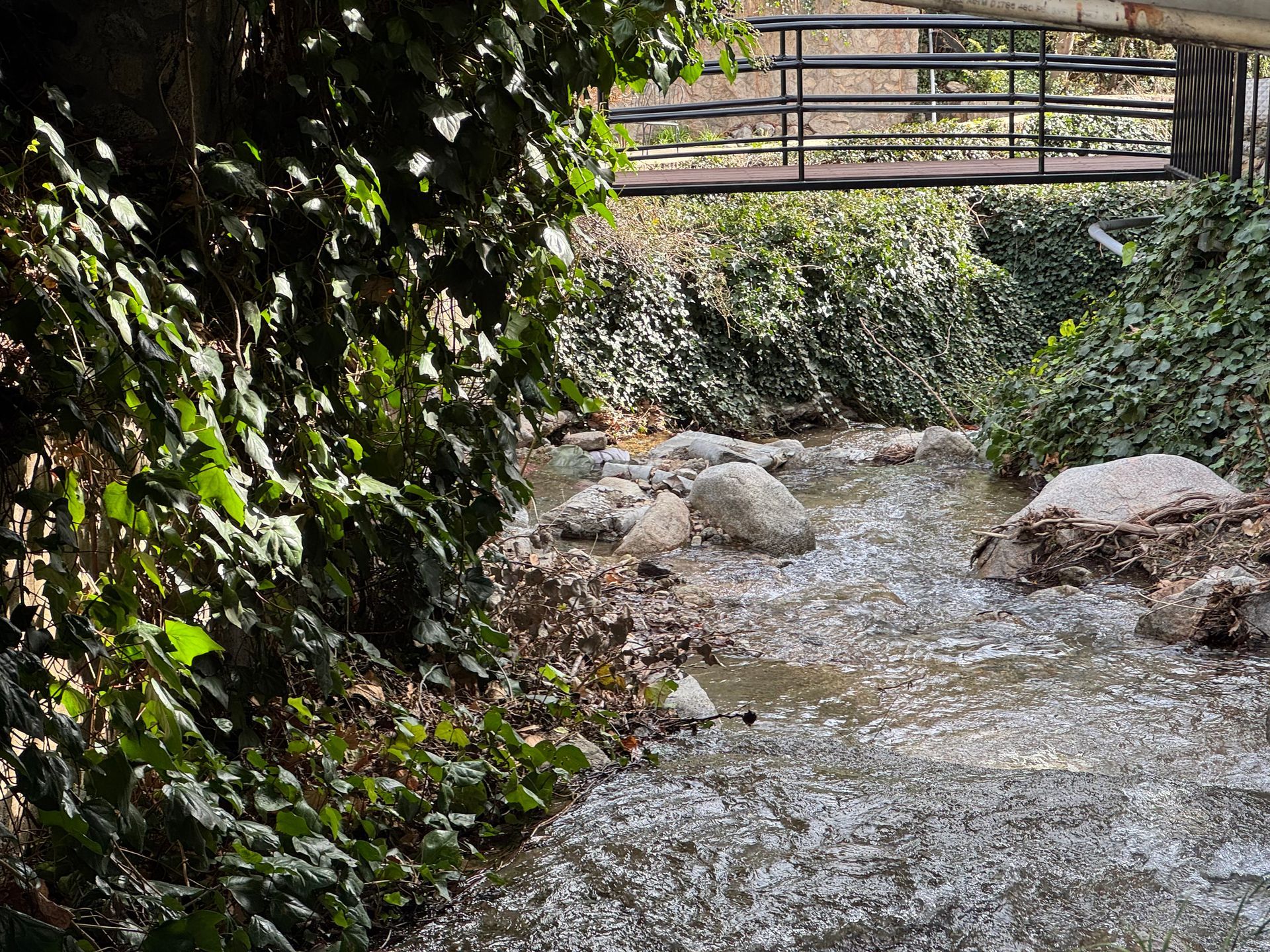 A small, shallow creek flows past a vine-covered bank toward a metal footbridge in a natural setting.