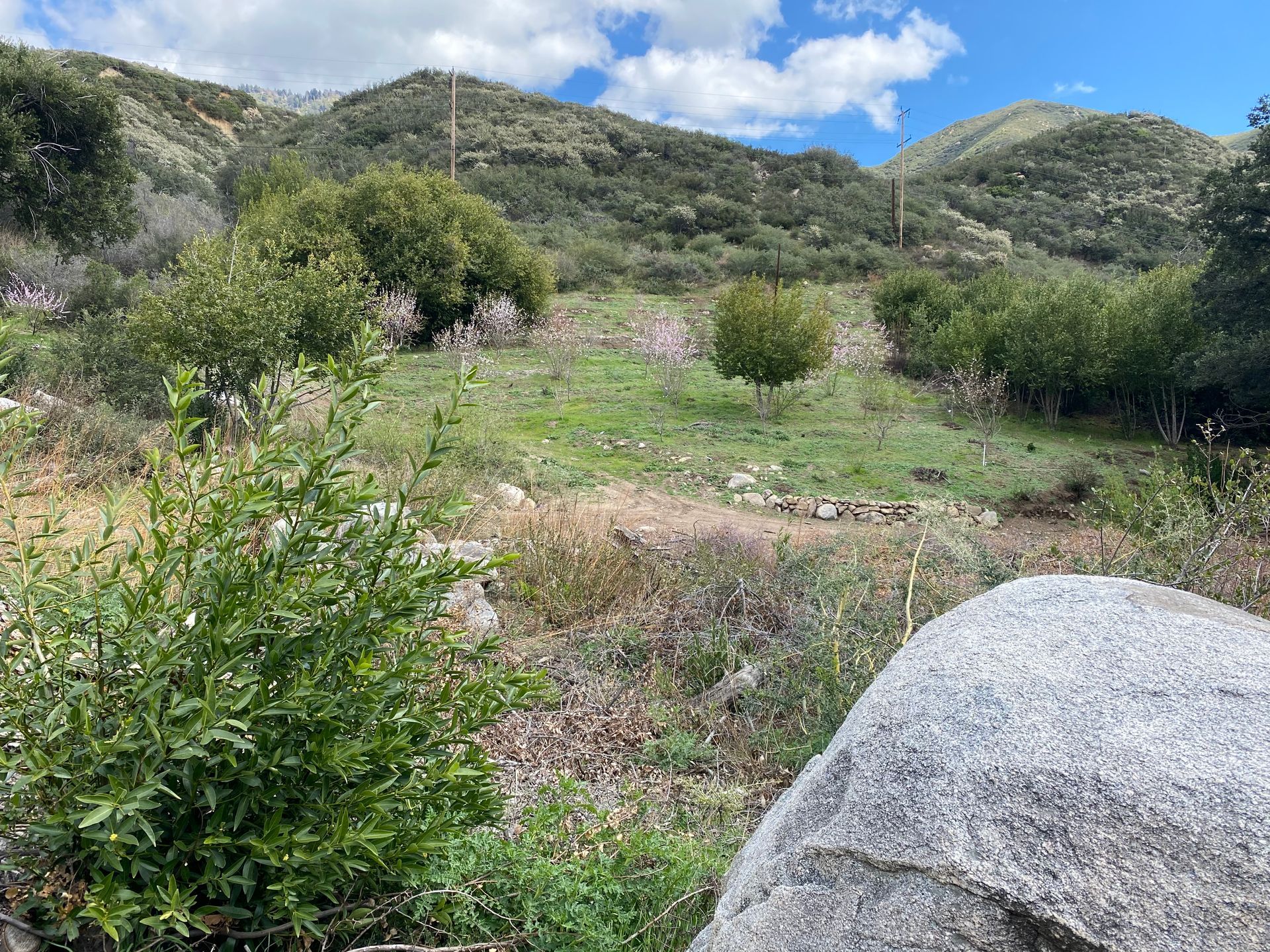 A large grey boulder in the foreground overlooking a grassy hillside with trees and bushes under a blue, cloudy sky.