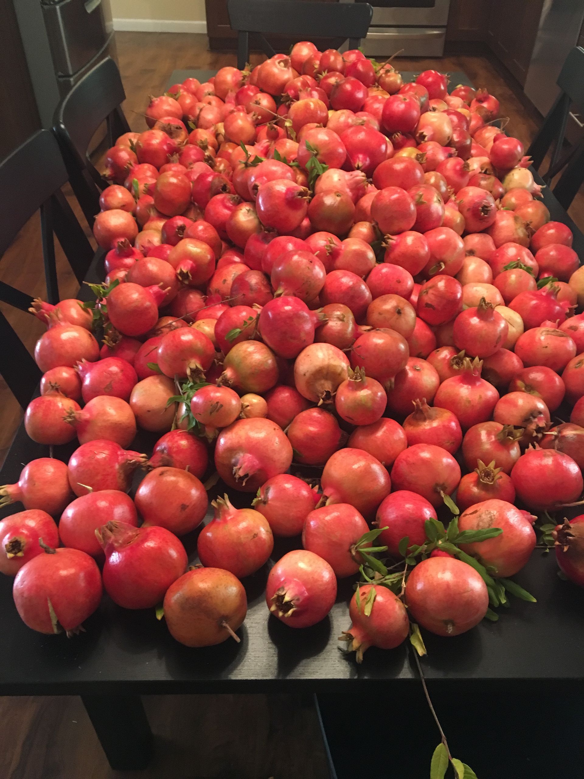 A large pile of fresh red pomegranates sits on a dark dining table inside a home.