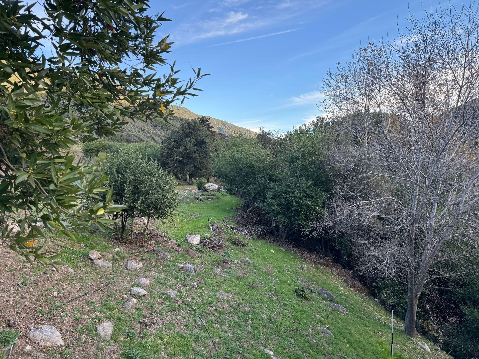 A sunset over a mountain range with a lot of fog
