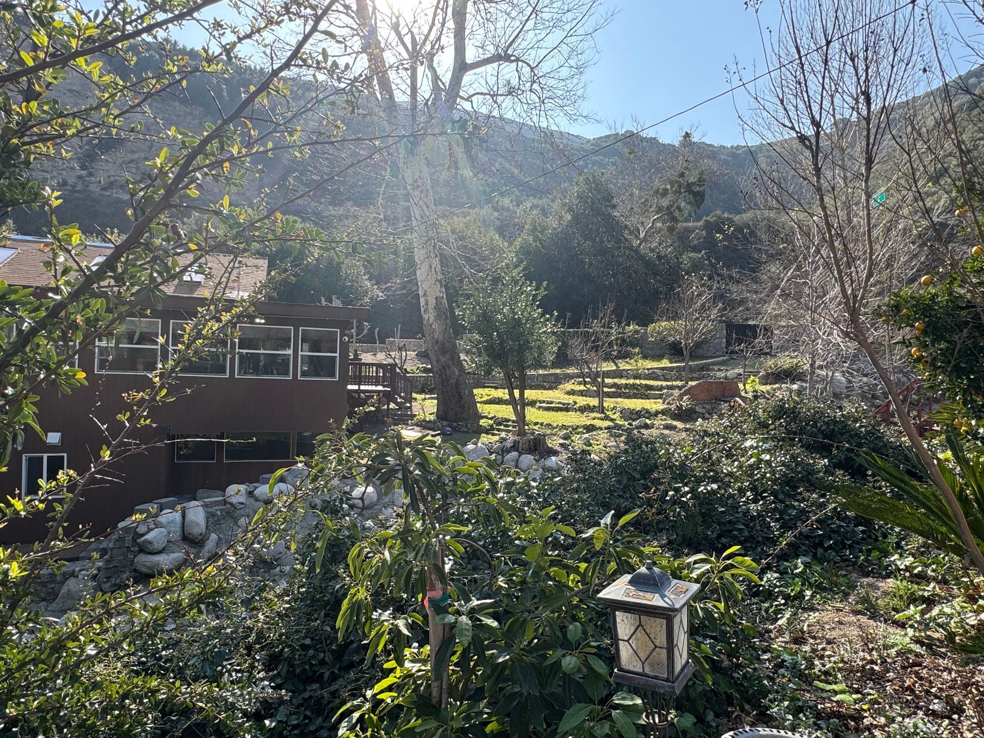 A sunlit hillside yard features a brown house, lush green vegetation, scattered rocks, and a small outdoor light.