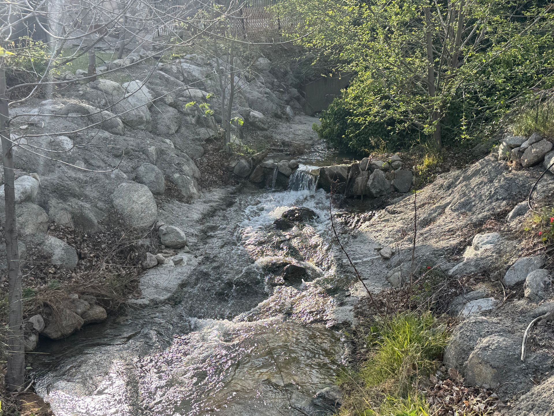 A small stream flows over rocks and is surrounded by greenery, with light filtering through the trees.