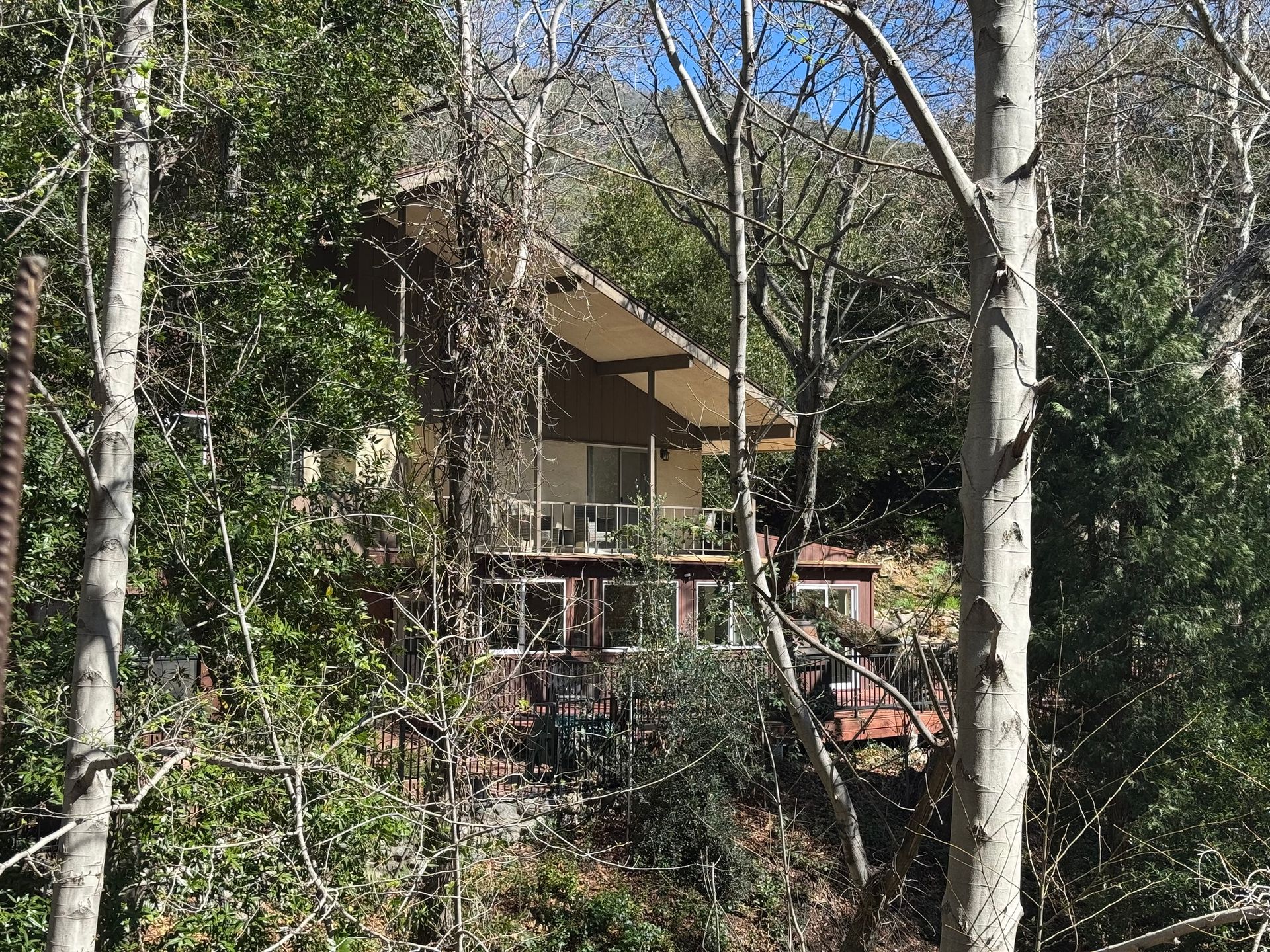 A rustic, multi-story house nestled in a wooded hillside, viewed through a foreground of leafless trees and greenery.