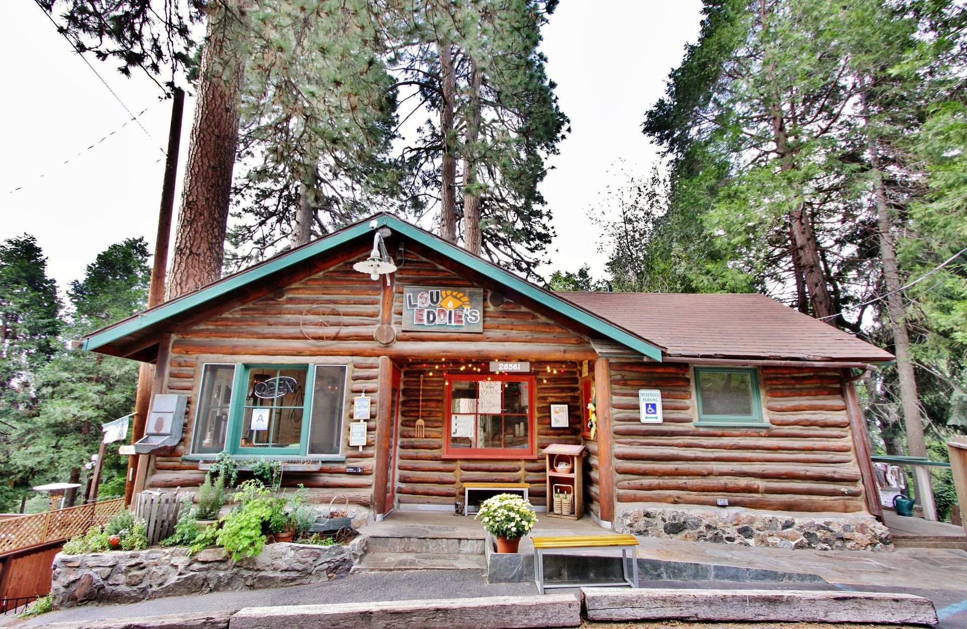 A rustic log cabin with green trim and a front entrance, nestled among tall pine trees in a forested area.