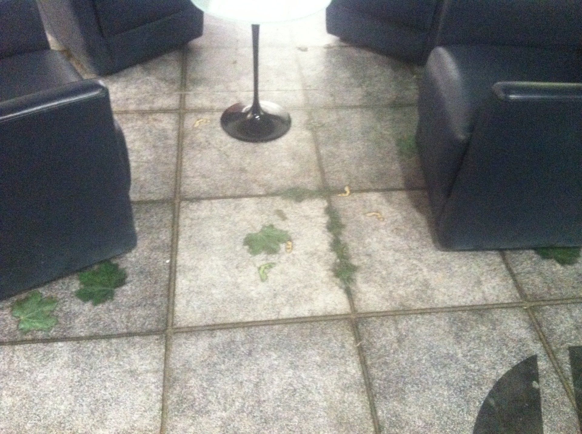 Tile Flooring — Lamp in Tile Flooring  in Franklyn, TN