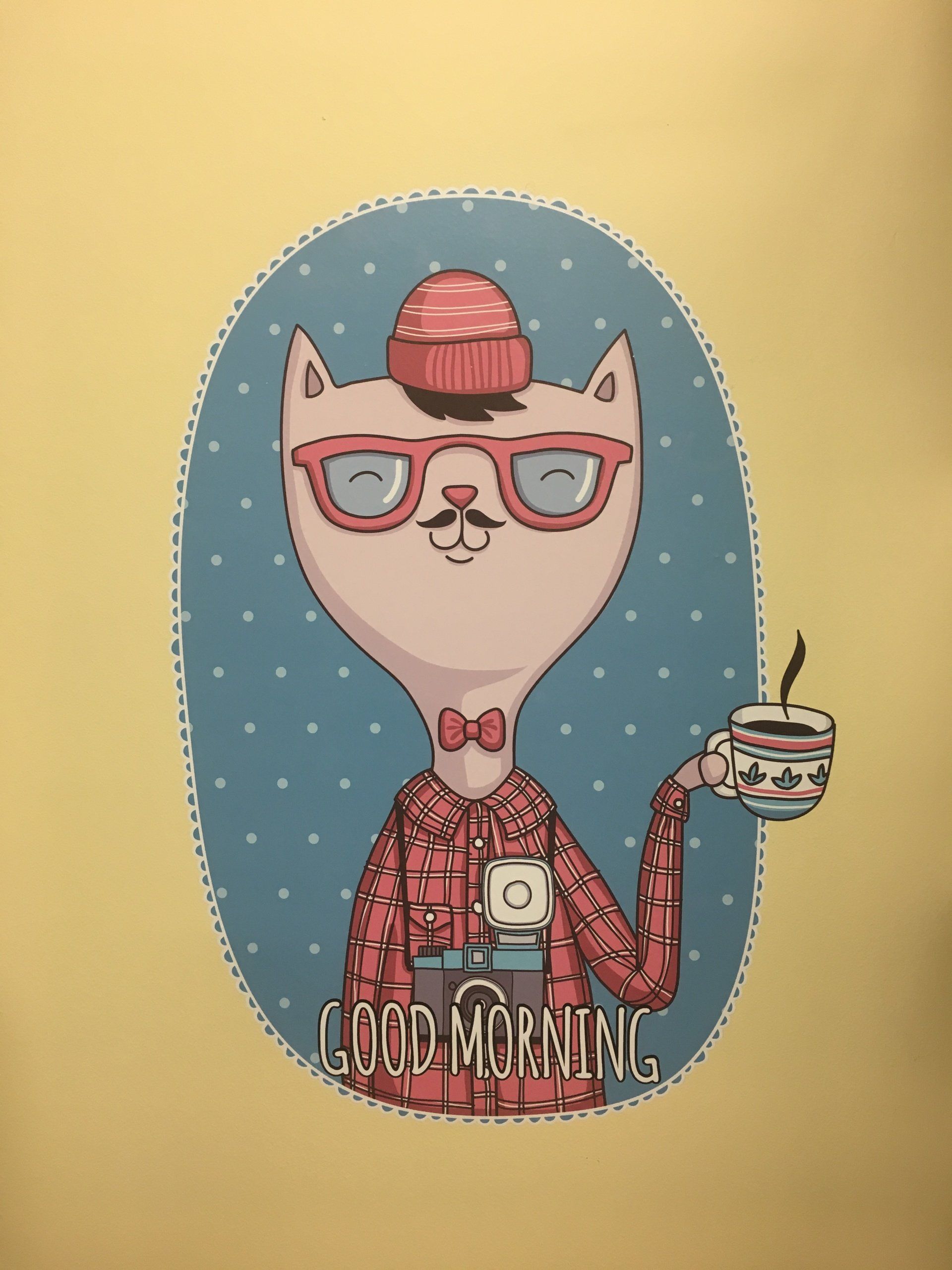 Animal Gallery — Cat Holding a Cup of Coffee in Franklin, TN
