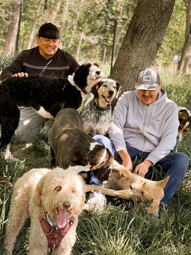 A man is sitting in the grass with a group of dogs.