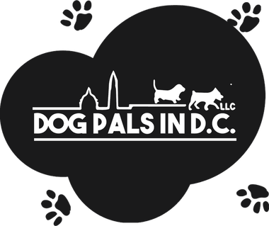 Dog Pals In D.C. logo