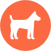 A white dog is standing in an orange circle.