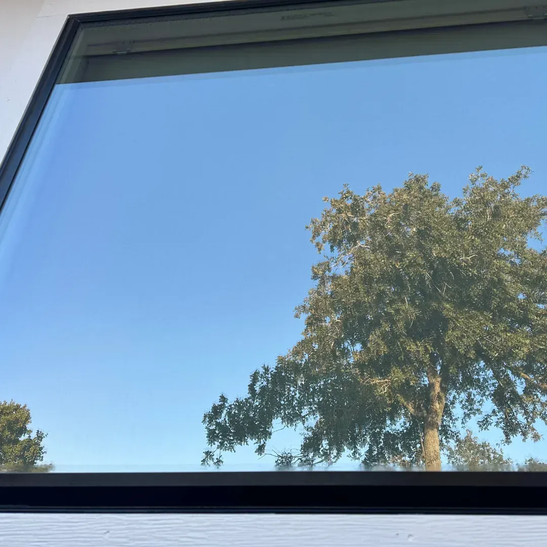 A tree is reflected in a window with a blue sky in the background.