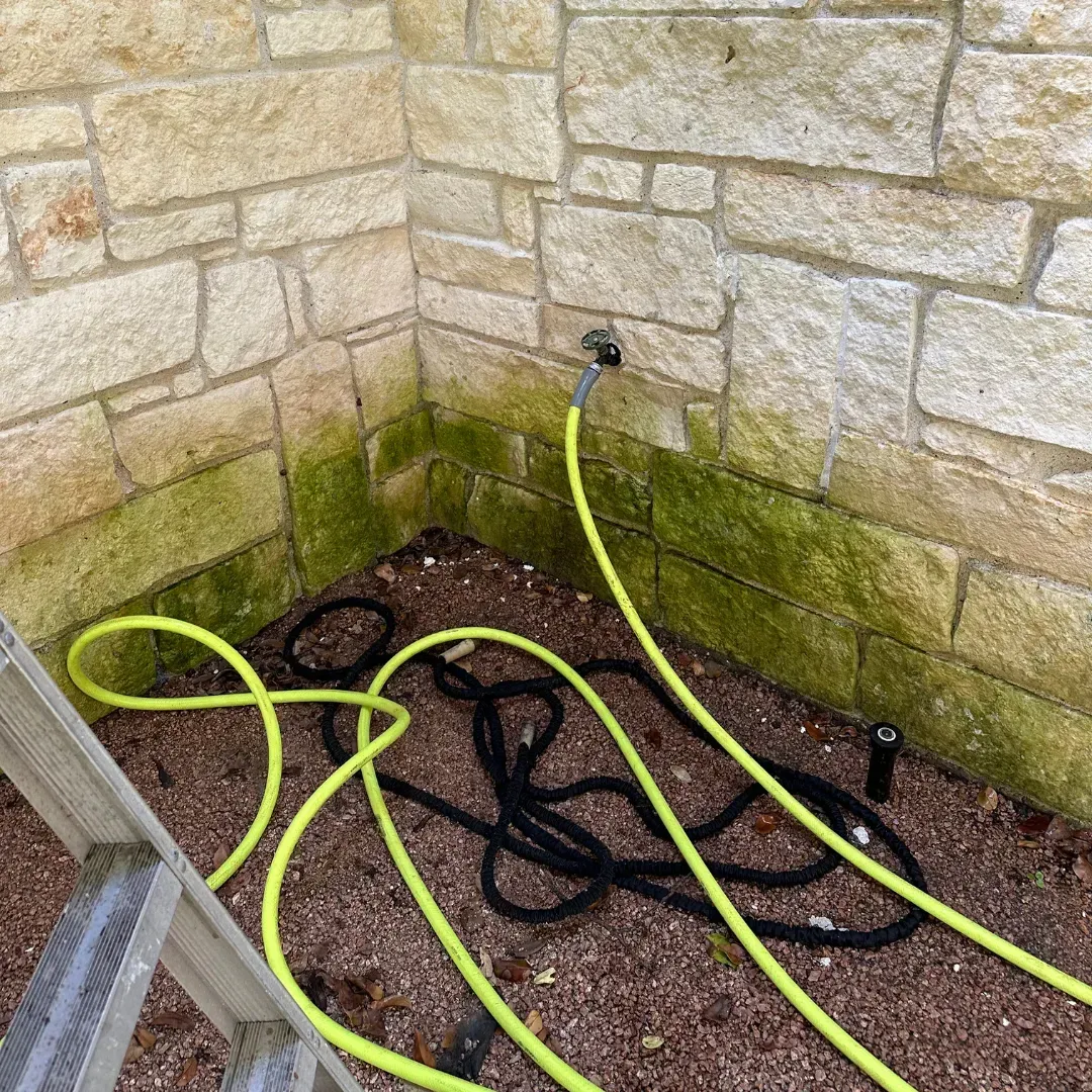 A hose is laying on the ground next to a brick wall.