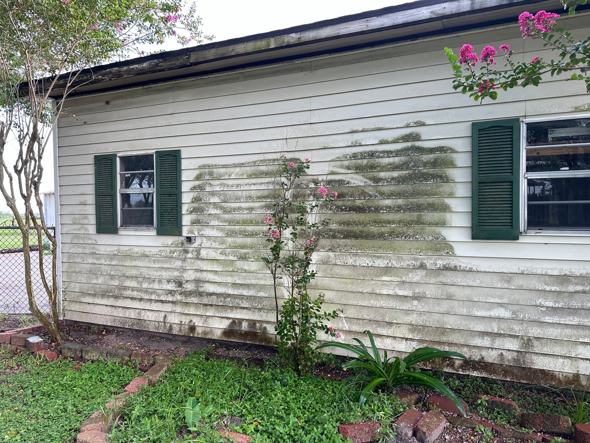 A white house with green shutters and a tree in front of it.
