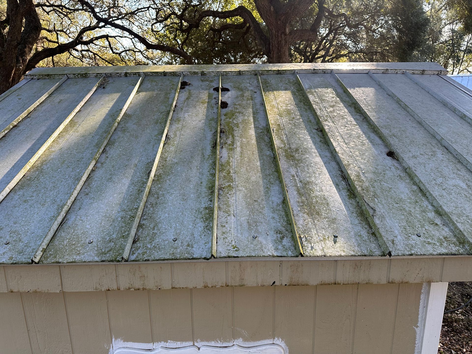 A dirty metal roof of a shed with trees in the background.