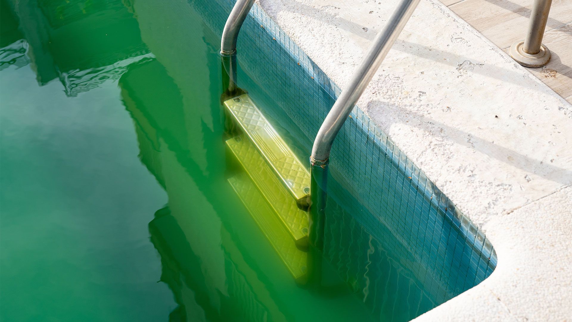 Swimming pool with greenish water, ladder visible, and part of the pool's edge.