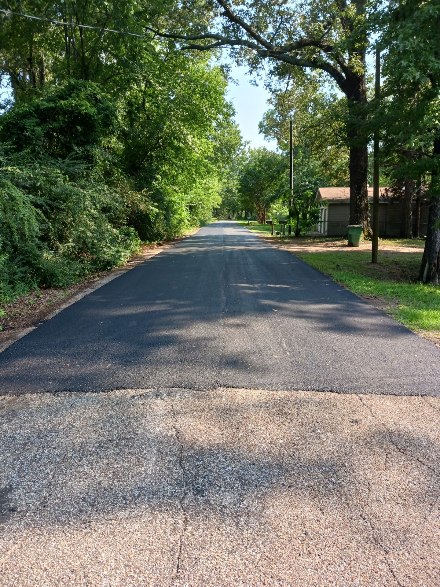 A road with a lot of trees on the side of it