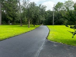 A road going through a grassy field with trees on both sides