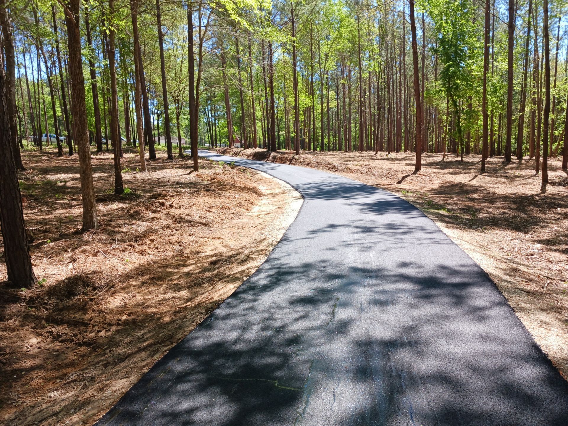 A road in the middle of a forest with trees on both sides