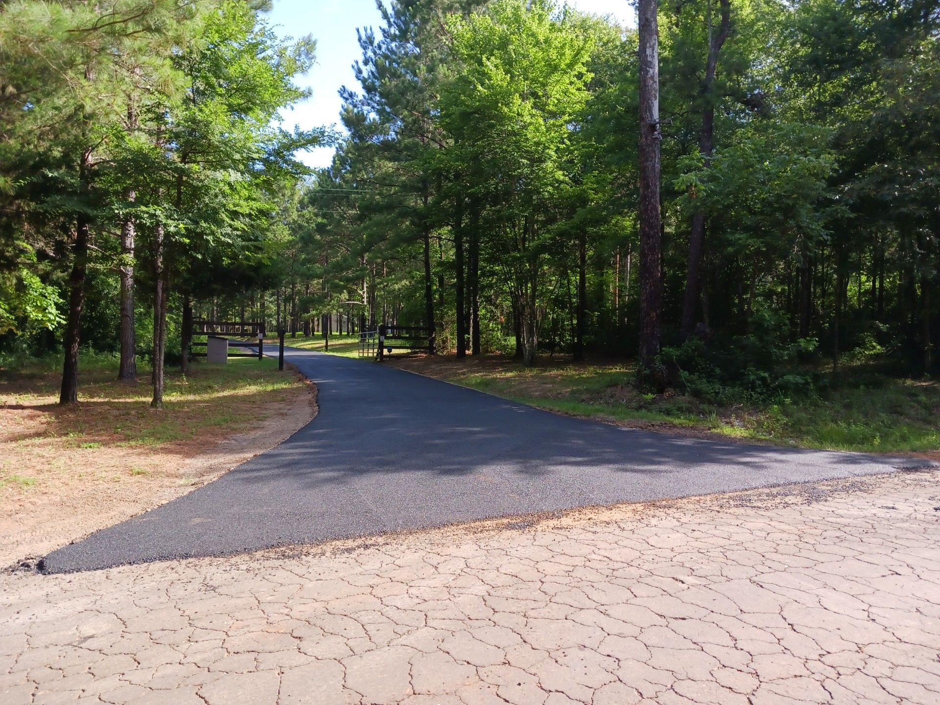 A road going through a forest with trees on both sides
