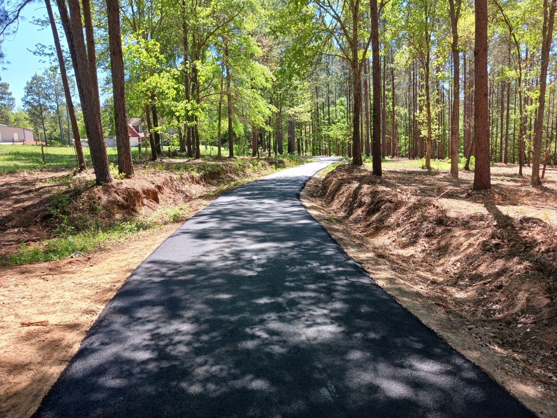 A road going through a forest with trees on both sides