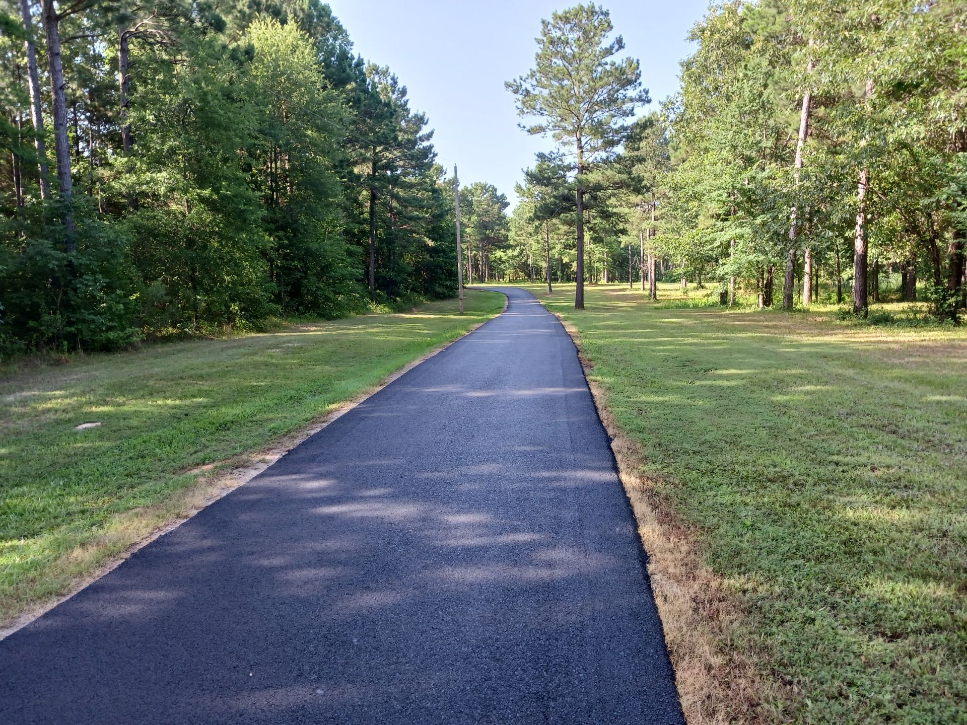 A path going through a park with trees on both sides