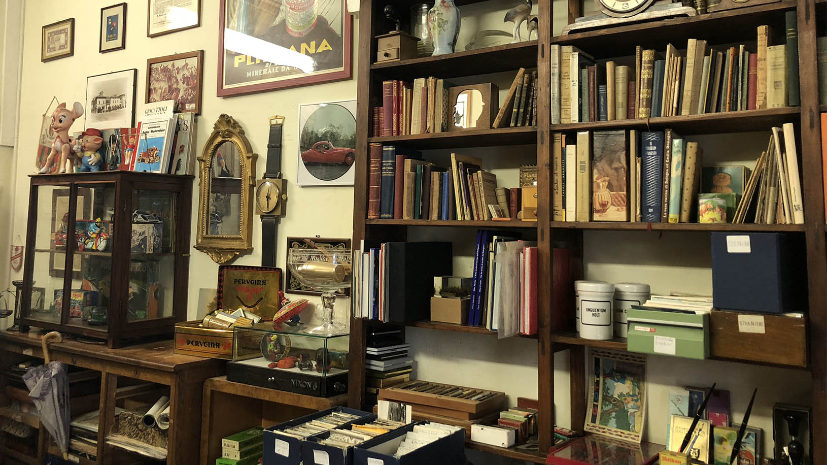 collezione di numismatica