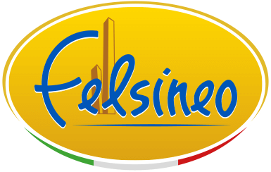 Logo Felsineo