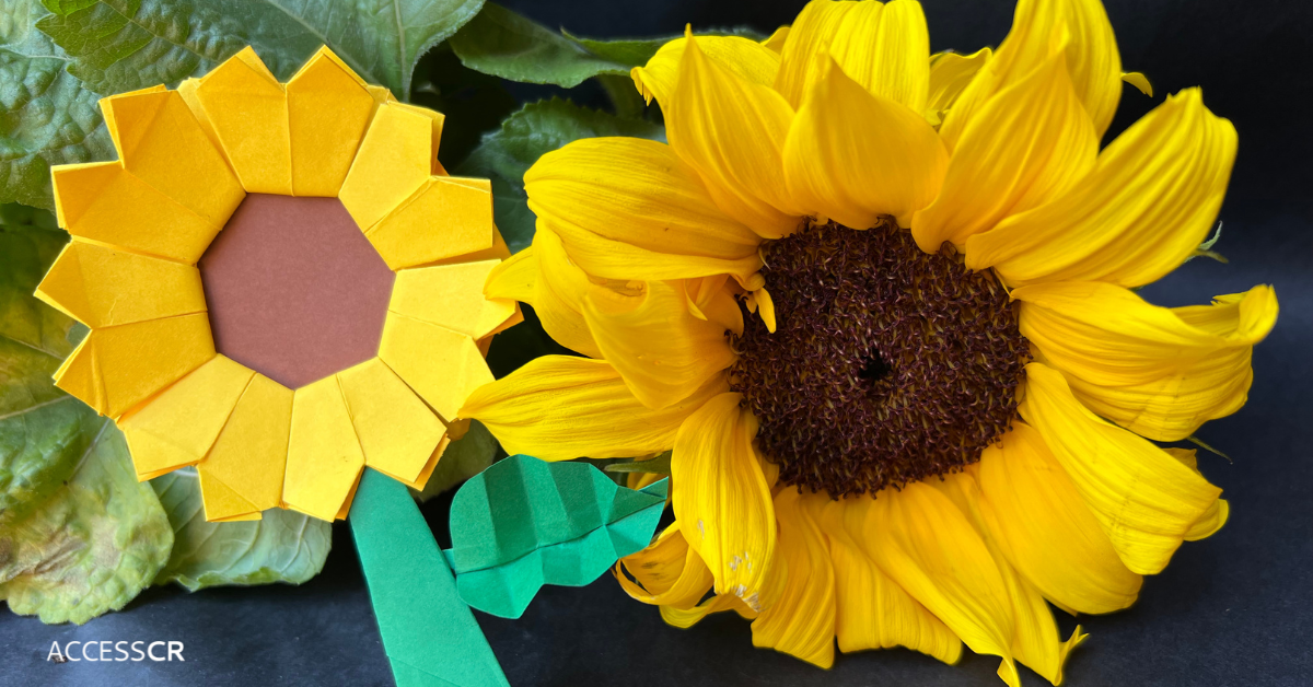 A photo of a real sunflower beside an origami sunflower, on a dark grey background.