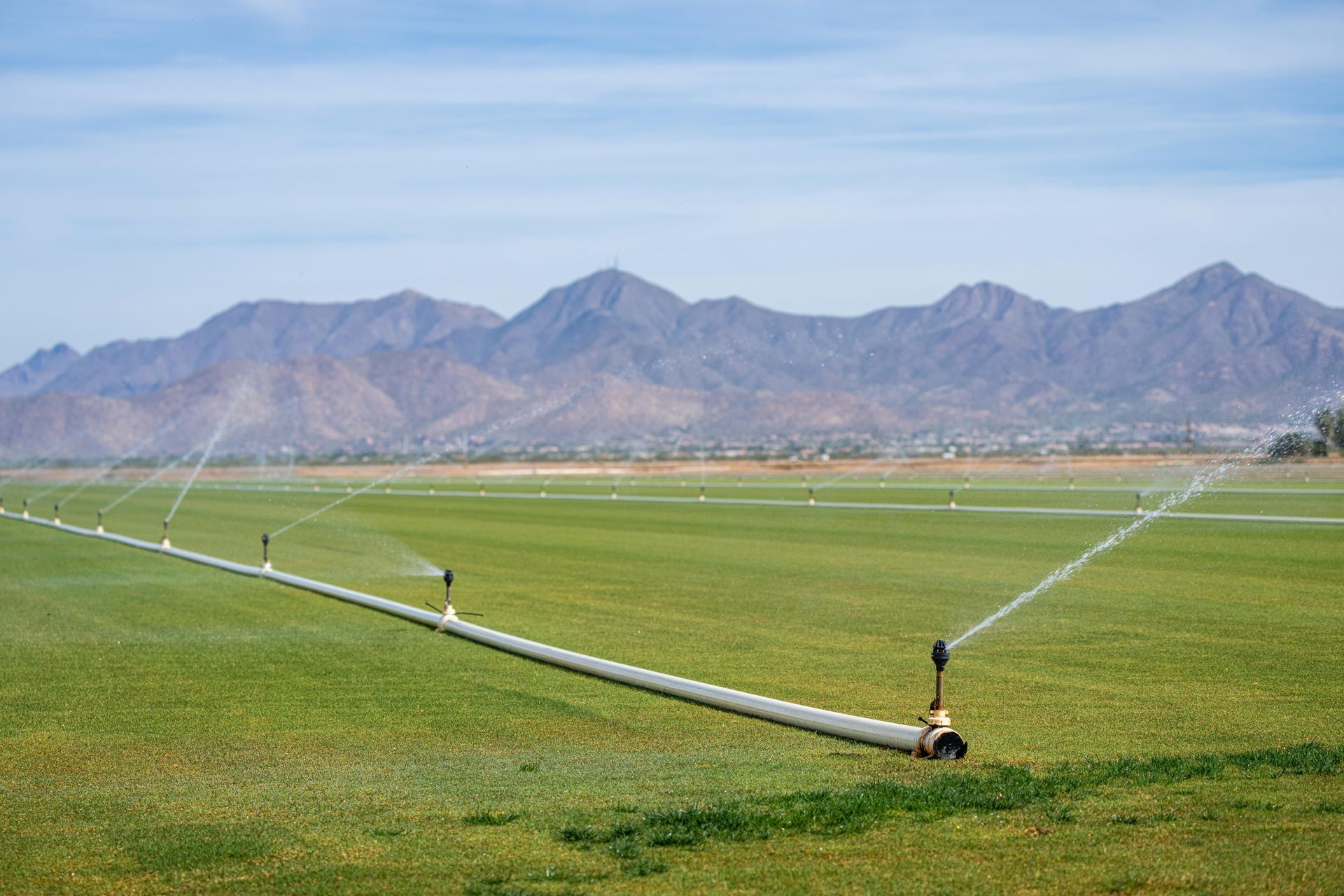 A sprinkler is spraying water on a lush green field with mountains in the background.