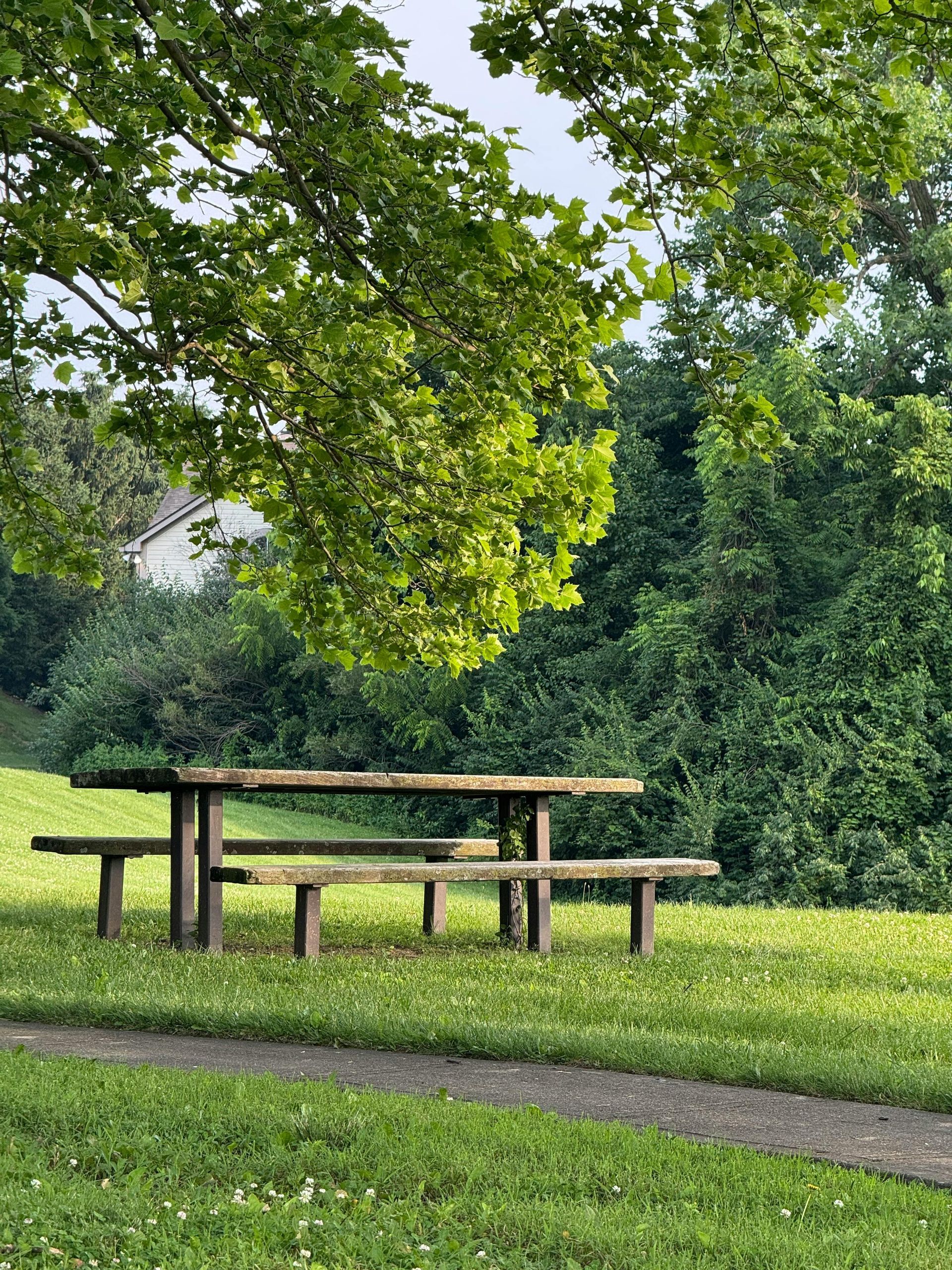 A wooden picnic table and benches in a park under a tree.