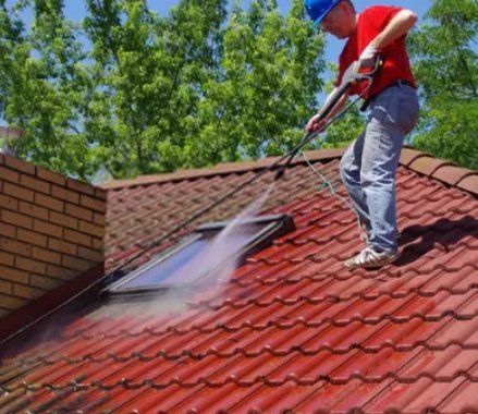 limpieza exhaustiva en tejados o cubiertas en valladolid