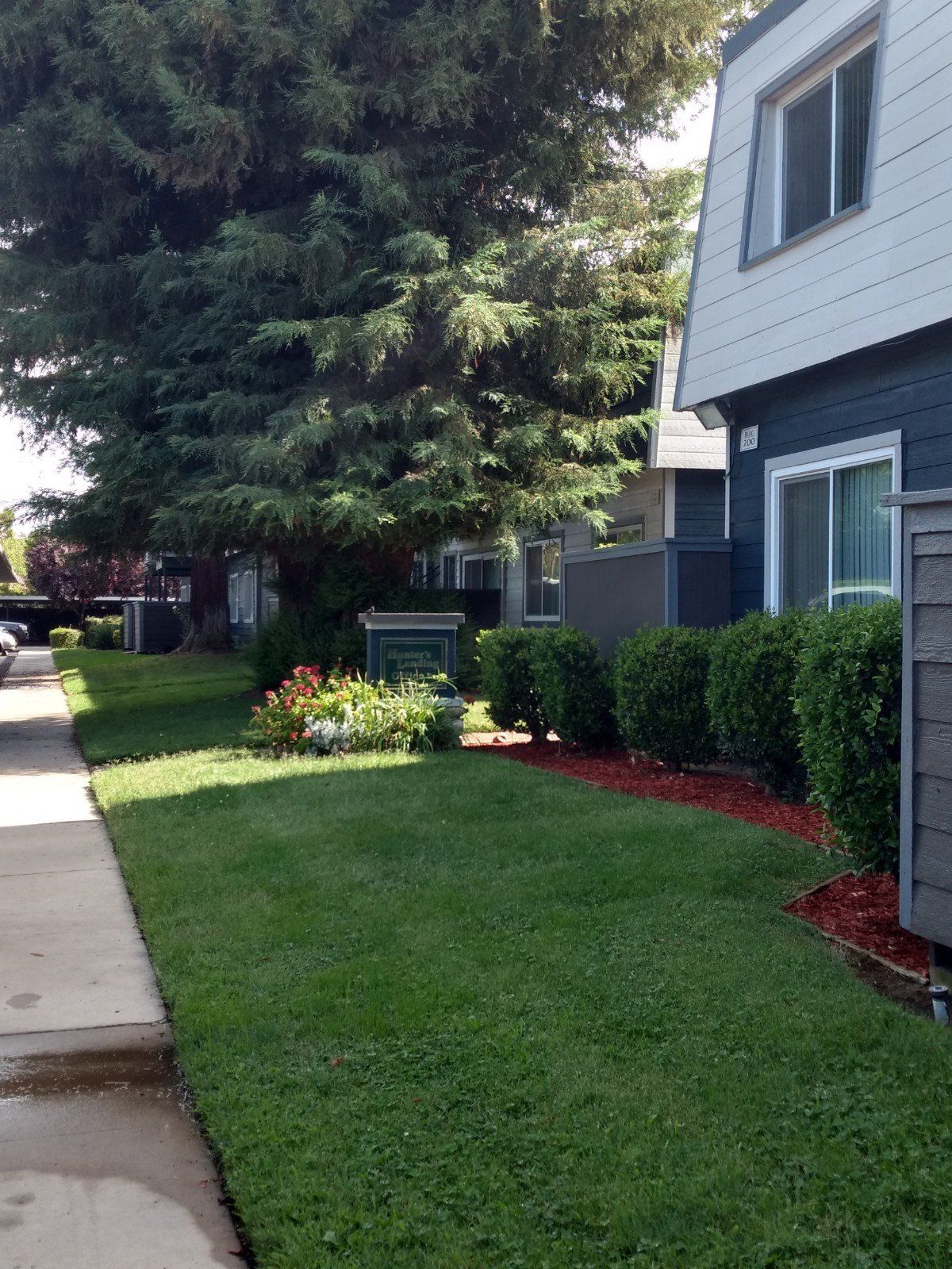 Lush beautiful grass, bushes and trees along parking area