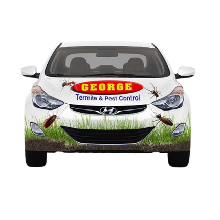 George Termite & Pest Control | Pest Control Company | Russellville AR