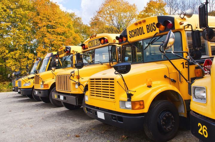 Lot of parked school buses