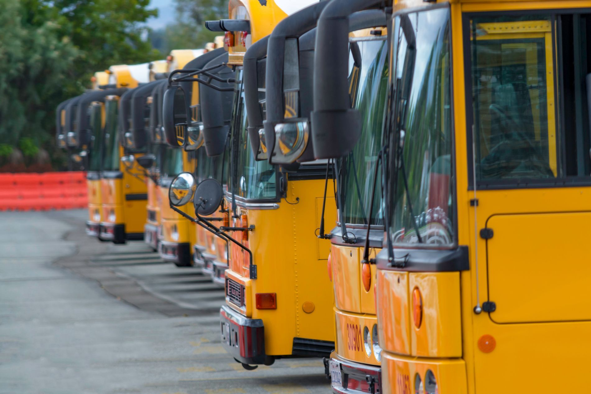 Yellow buses lined up