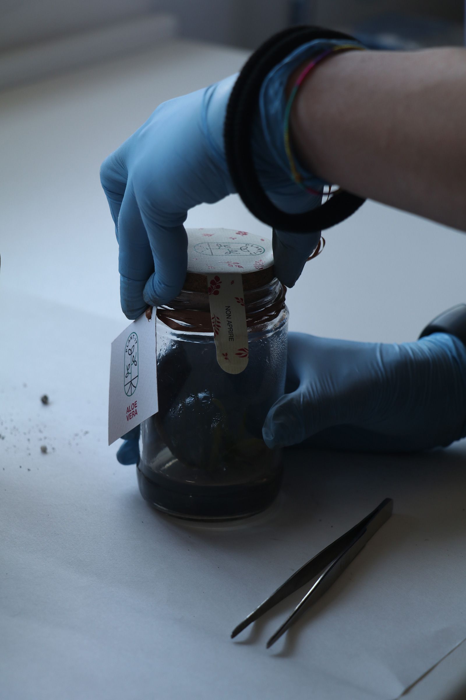 Persona con guanti blu che apre un barattolo contenente campioni, con etichetta attaccata. Le pinzette sono appoggiate sul tavolo.