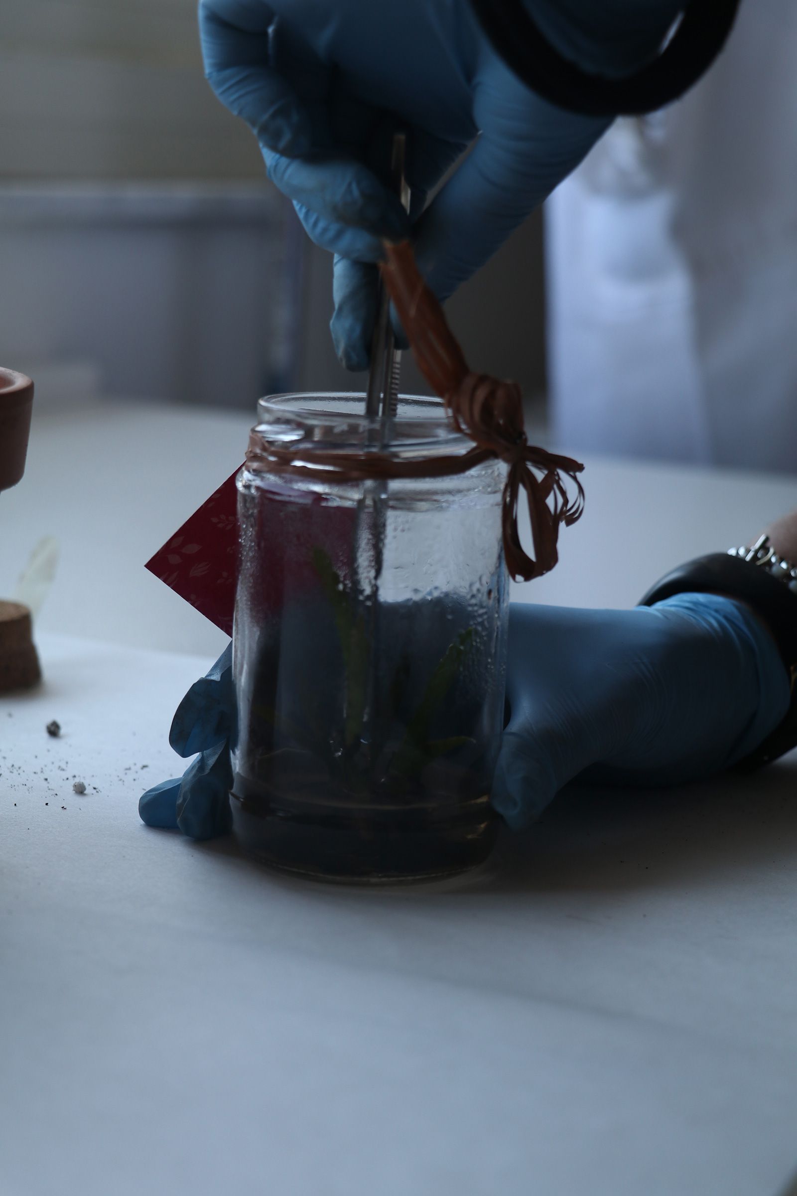 Persona con guanti blu che mescola un barattolo contenente un liquido scuro con uno strumento di metallo.