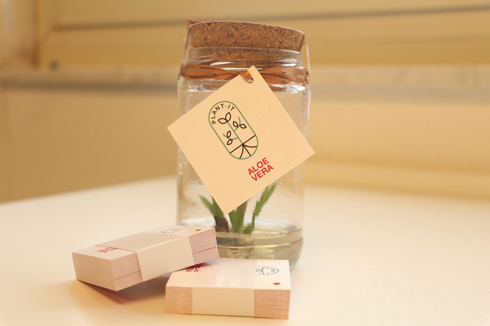 Barattolo di vetro con coperchio di sughero contenente una pianta di aloe vera, un'etichetta e due pile di cartoncini rosa su una superficie bianca.